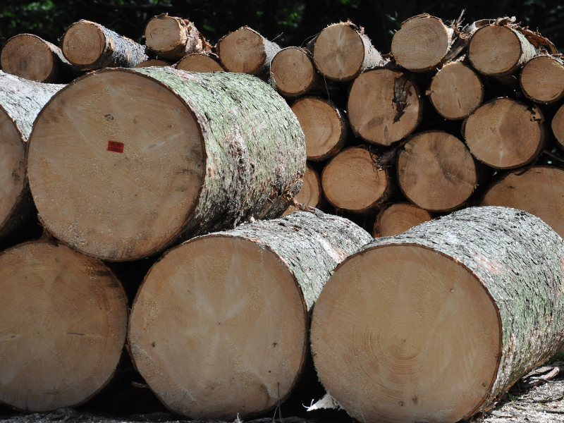 Logistic Who We Are Detail Image